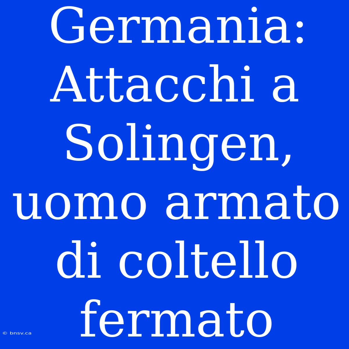 Germania: Attacchi A Solingen, Uomo Armato Di Coltello Fermato