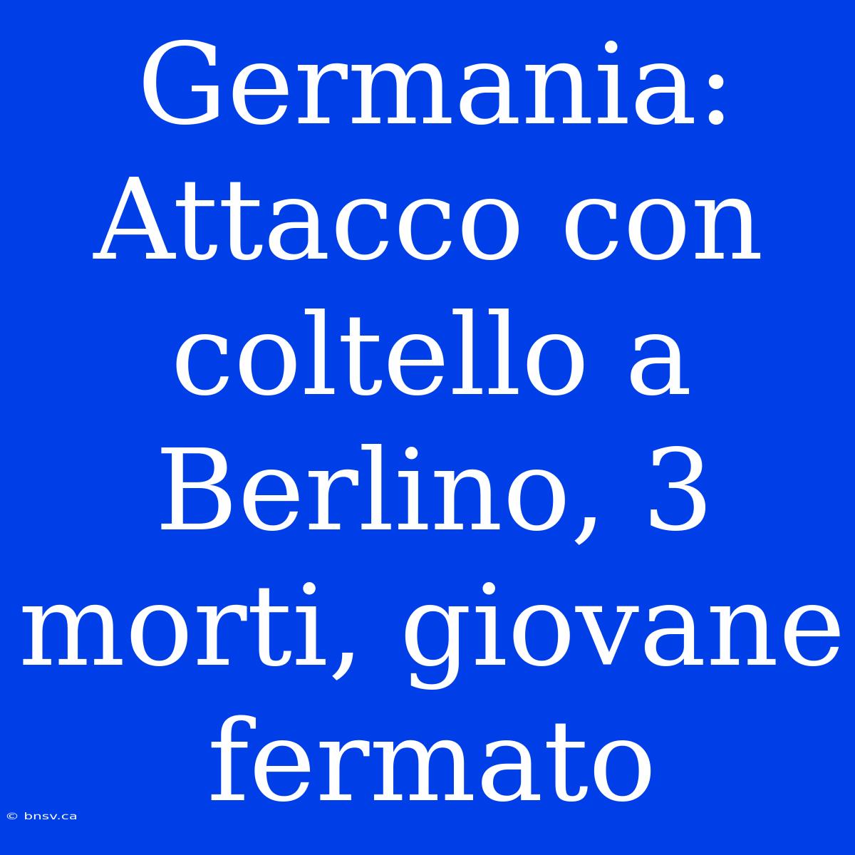 Germania: Attacco Con Coltello A Berlino, 3 Morti, Giovane Fermato