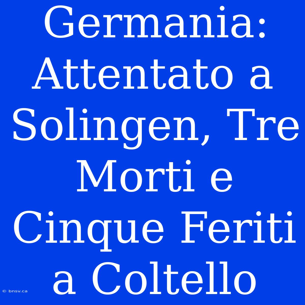 Germania: Attentato A Solingen, Tre Morti E Cinque Feriti A Coltello