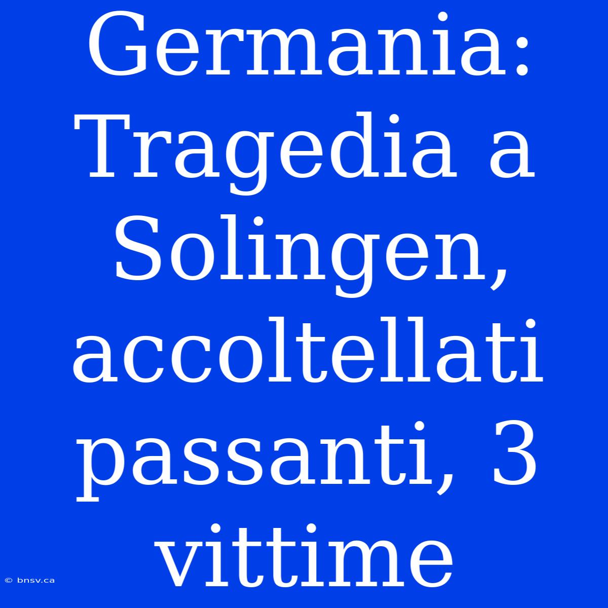 Germania: Tragedia A Solingen, Accoltellati Passanti, 3 Vittime