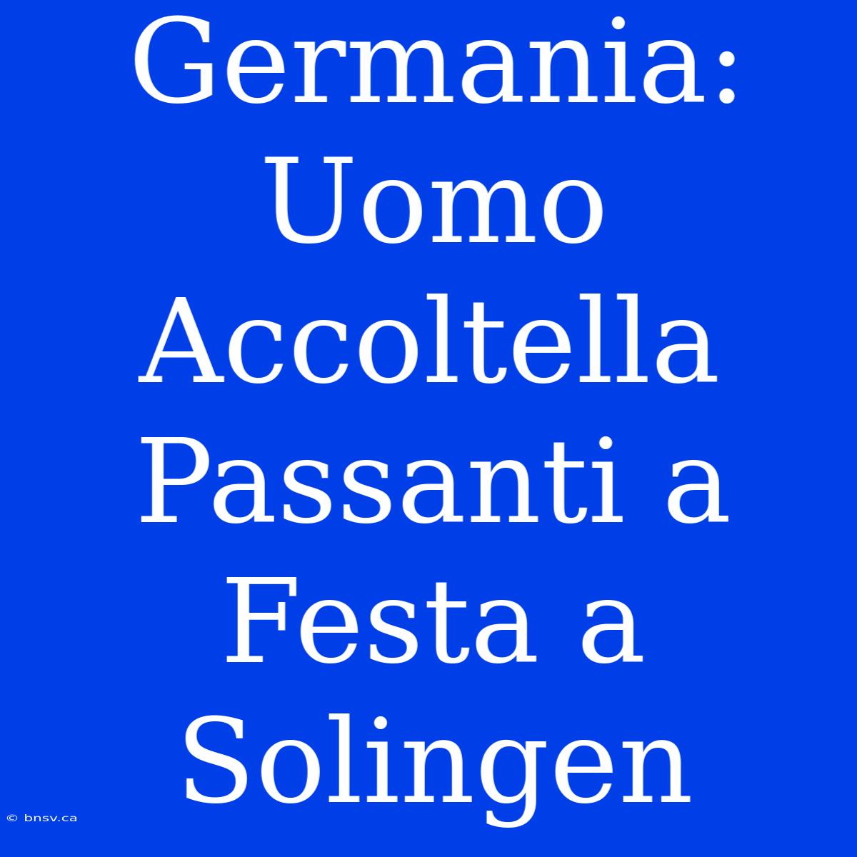 Germania: Uomo Accoltella Passanti A Festa A Solingen