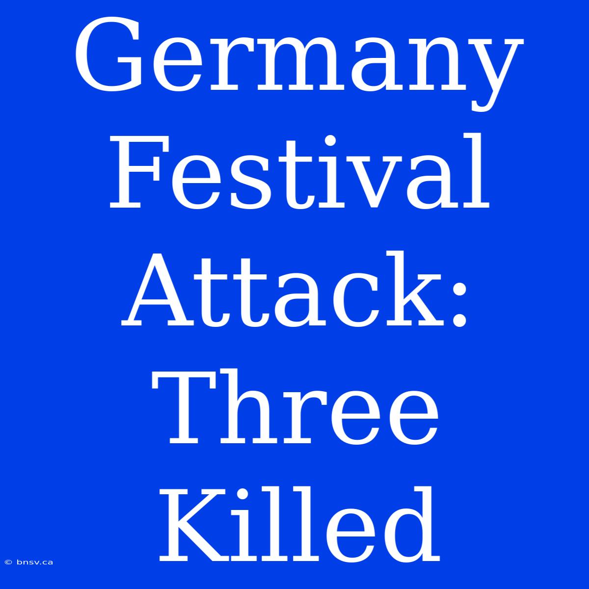 Germany Festival Attack: Three Killed