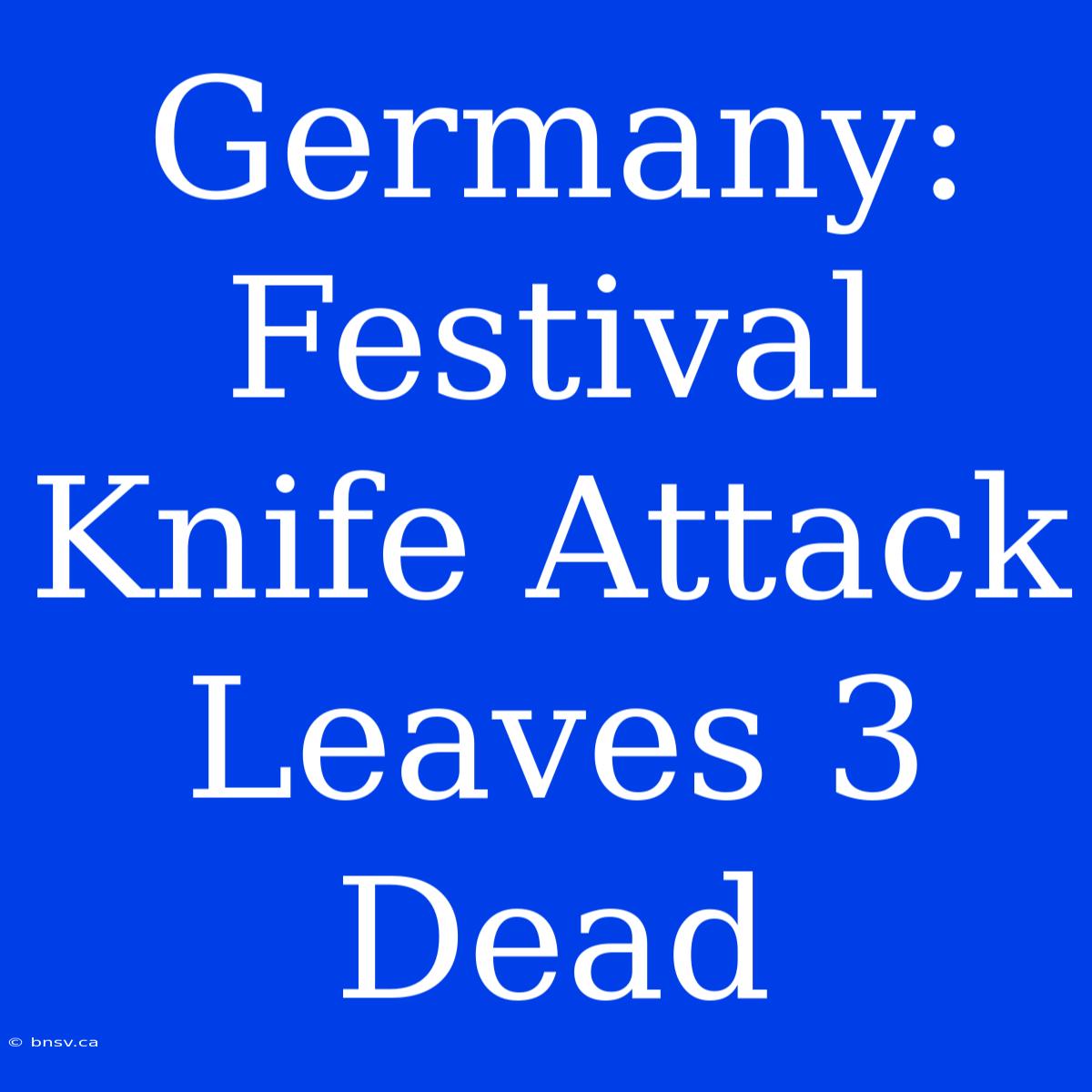 Germany: Festival Knife Attack Leaves 3 Dead