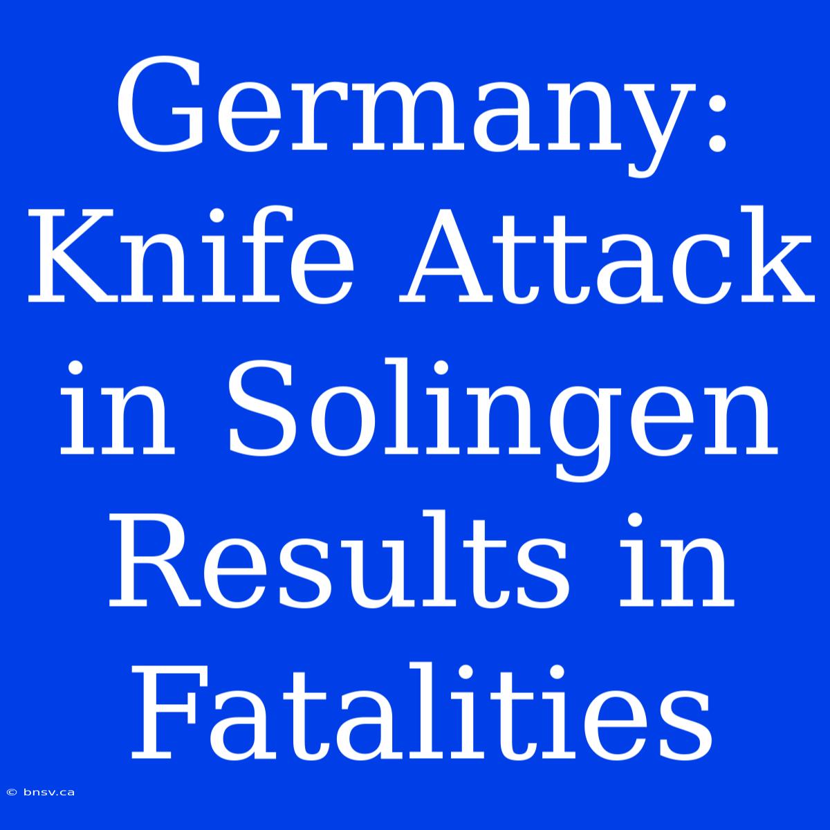 Germany: Knife Attack In Solingen Results In Fatalities