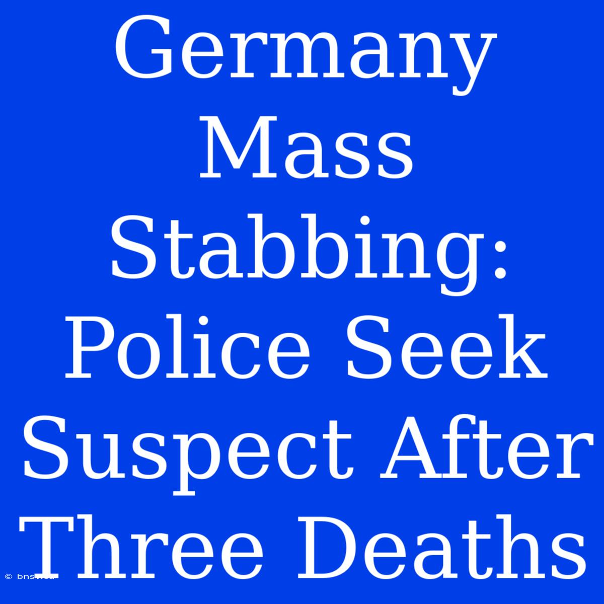 Germany Mass Stabbing: Police Seek Suspect After Three Deaths