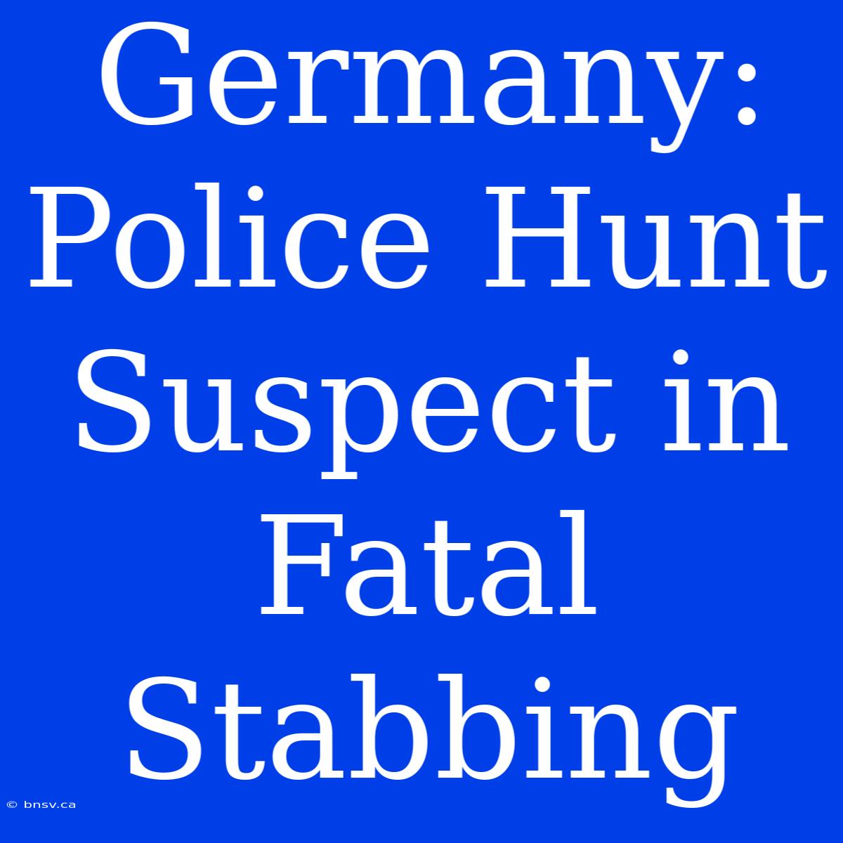 Germany: Police Hunt Suspect In Fatal Stabbing