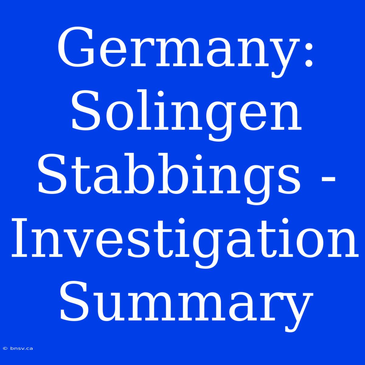 Germany: Solingen Stabbings - Investigation Summary