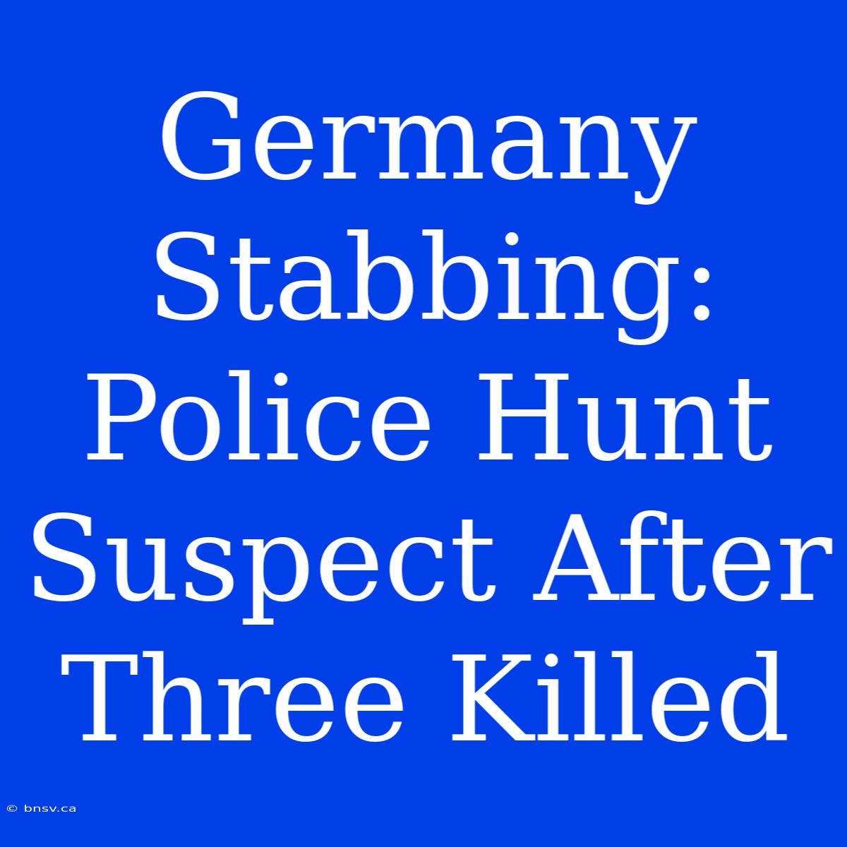 Germany Stabbing: Police Hunt Suspect After Three Killed