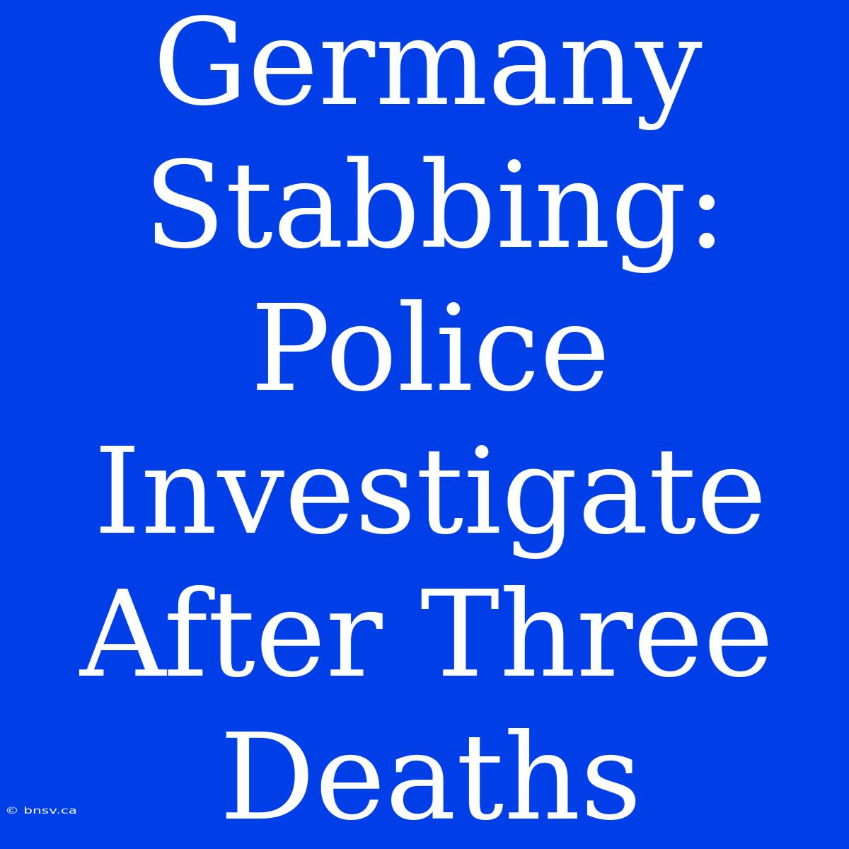 Germany Stabbing: Police Investigate After Three Deaths