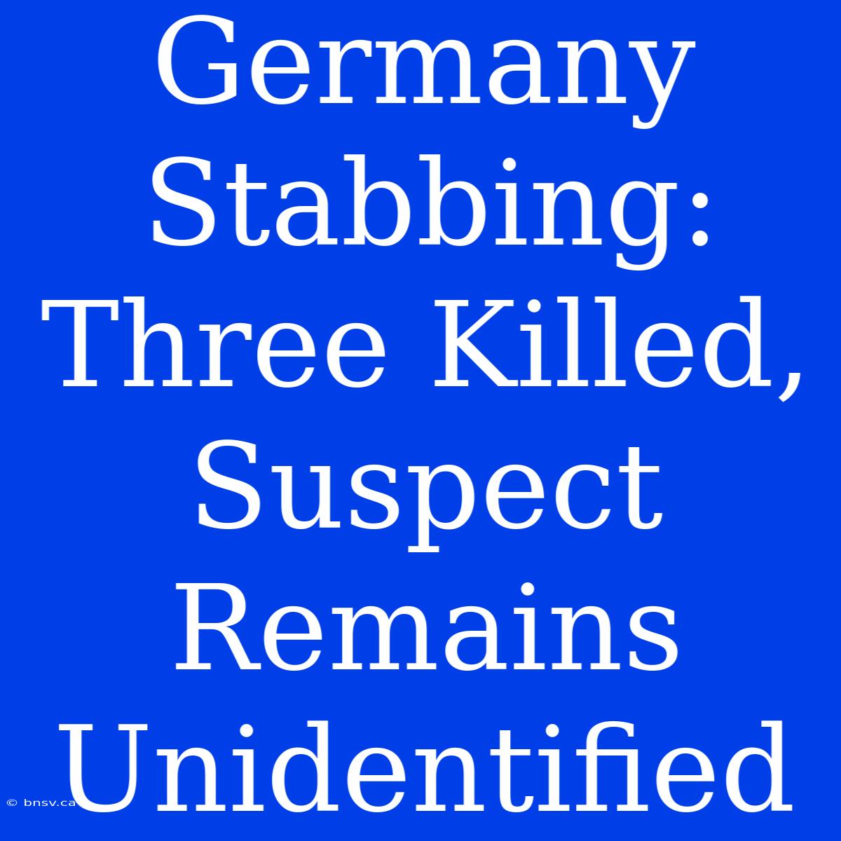 Germany Stabbing: Three Killed, Suspect Remains Unidentified