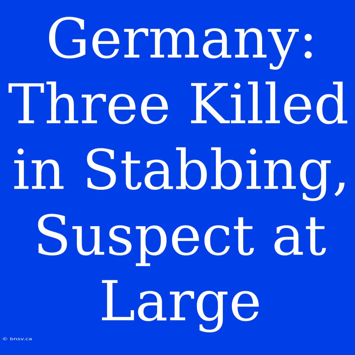 Germany: Three Killed In Stabbing, Suspect At Large