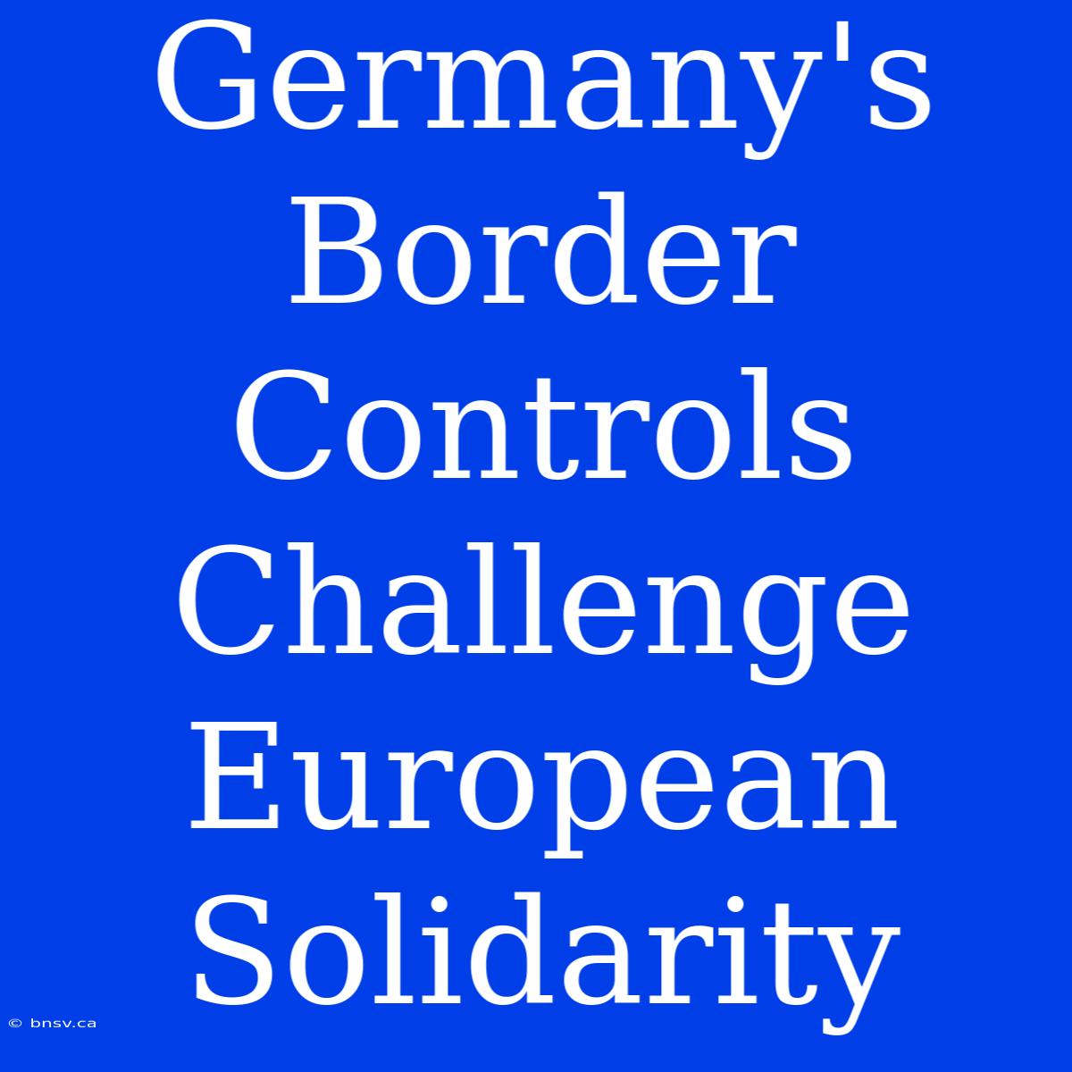 Germany's Border Controls Challenge European Solidarity