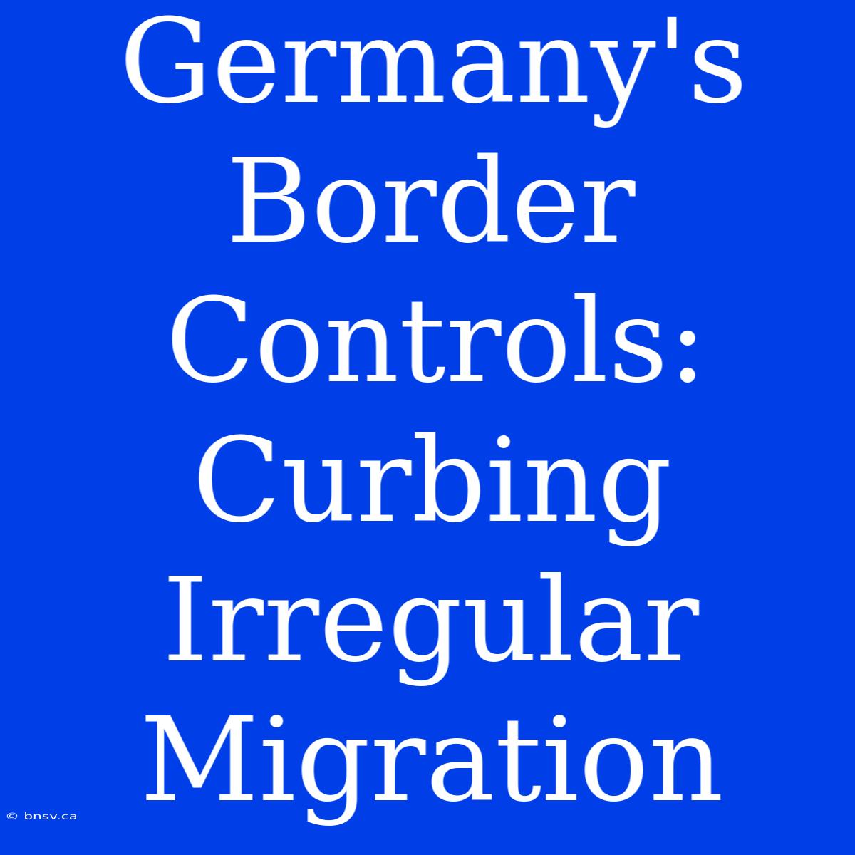 Germany's Border Controls: Curbing Irregular Migration