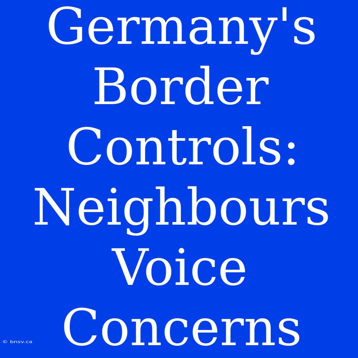 Germany's Border Controls: Neighbours Voice Concerns