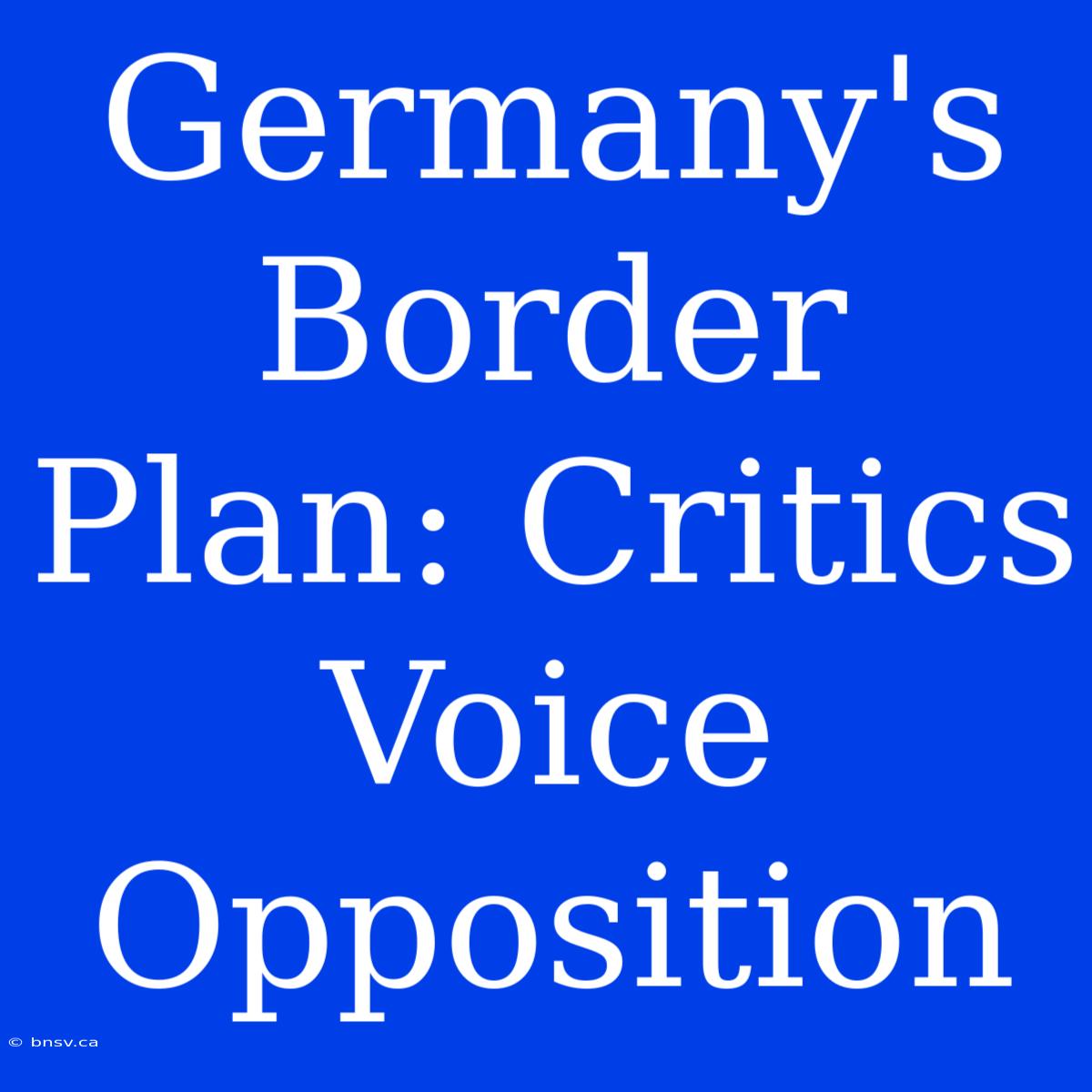 Germany's Border Plan: Critics Voice Opposition