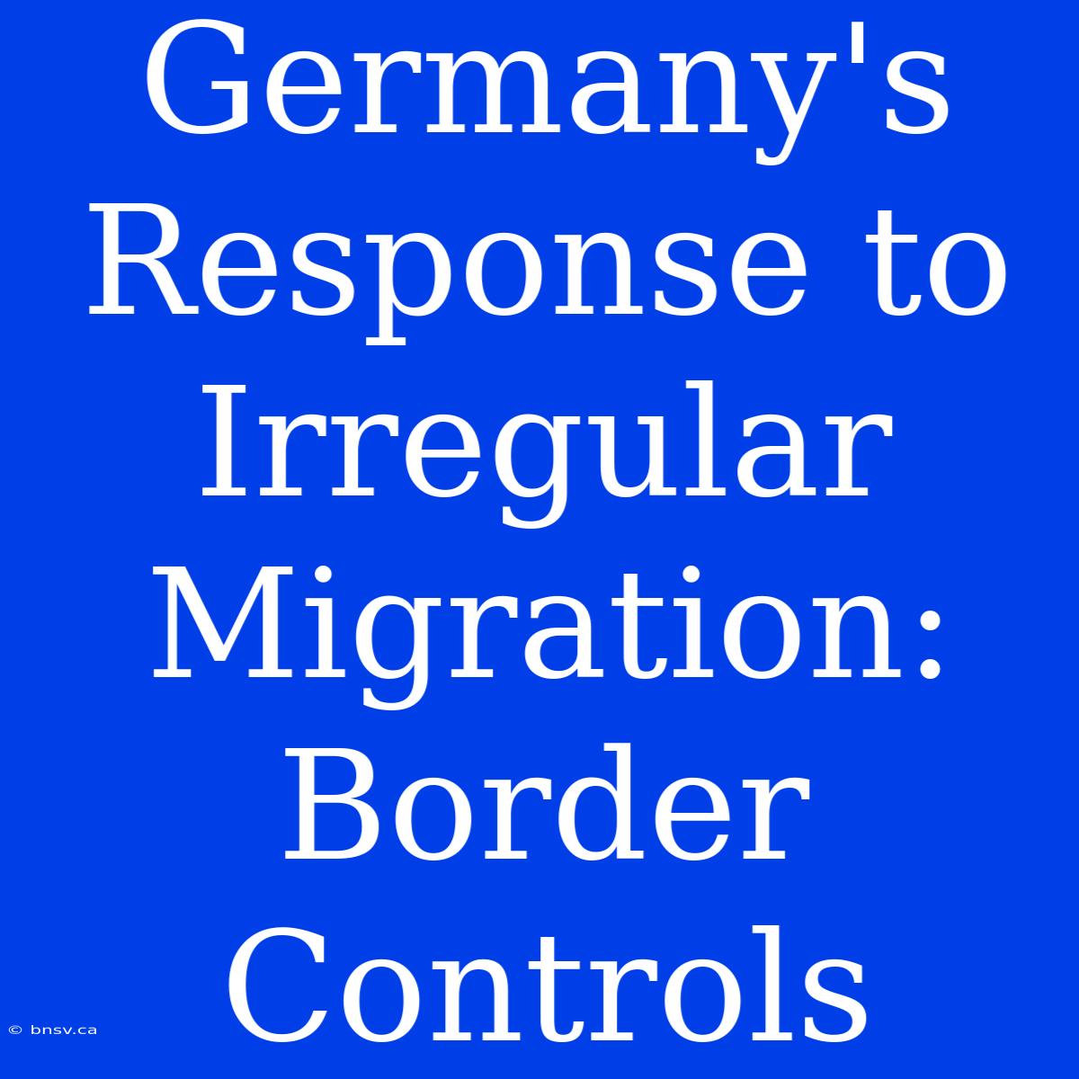 Germany's Response To Irregular Migration: Border Controls