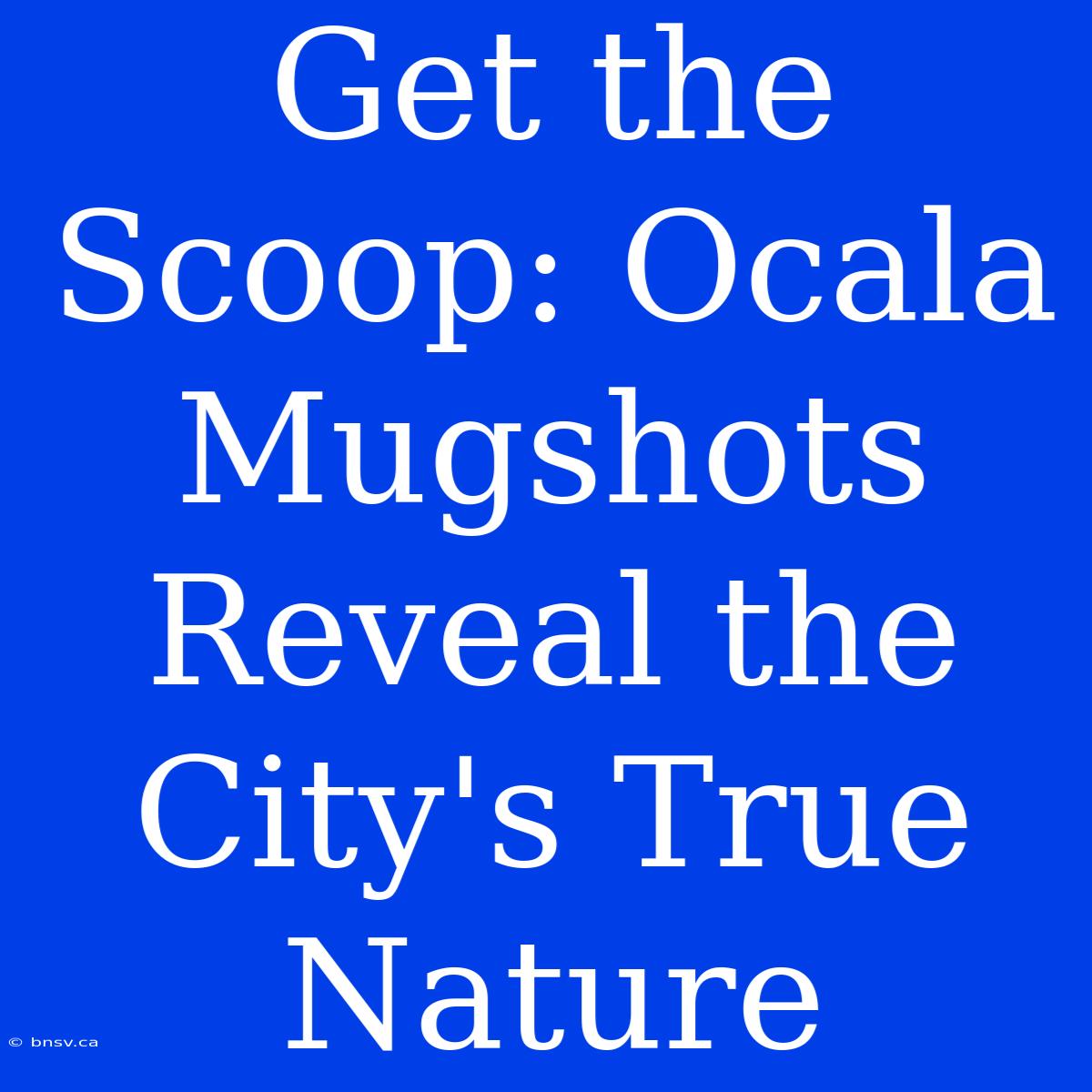 Get The Scoop: Ocala Mugshots Reveal The City's True Nature