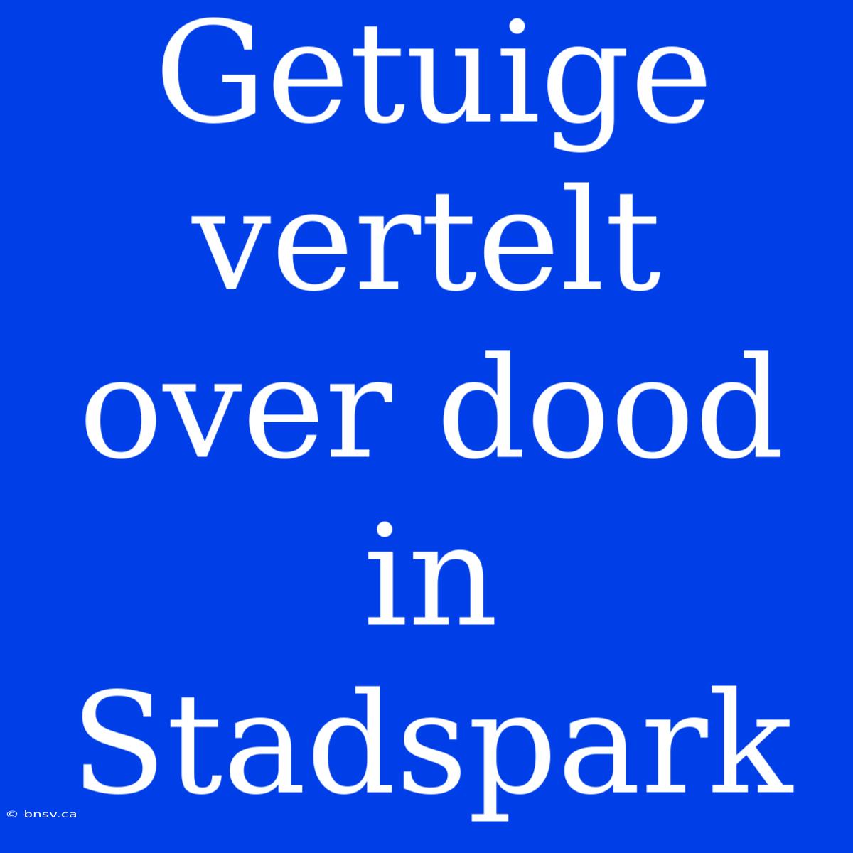 Getuige Vertelt Over Dood In Stadspark