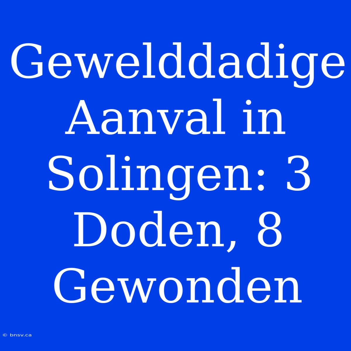 Gewelddadige Aanval In Solingen: 3 Doden, 8 Gewonden