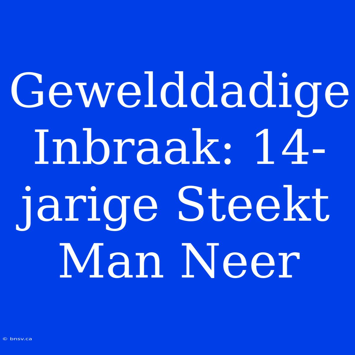 Gewelddadige Inbraak: 14-jarige Steekt Man Neer