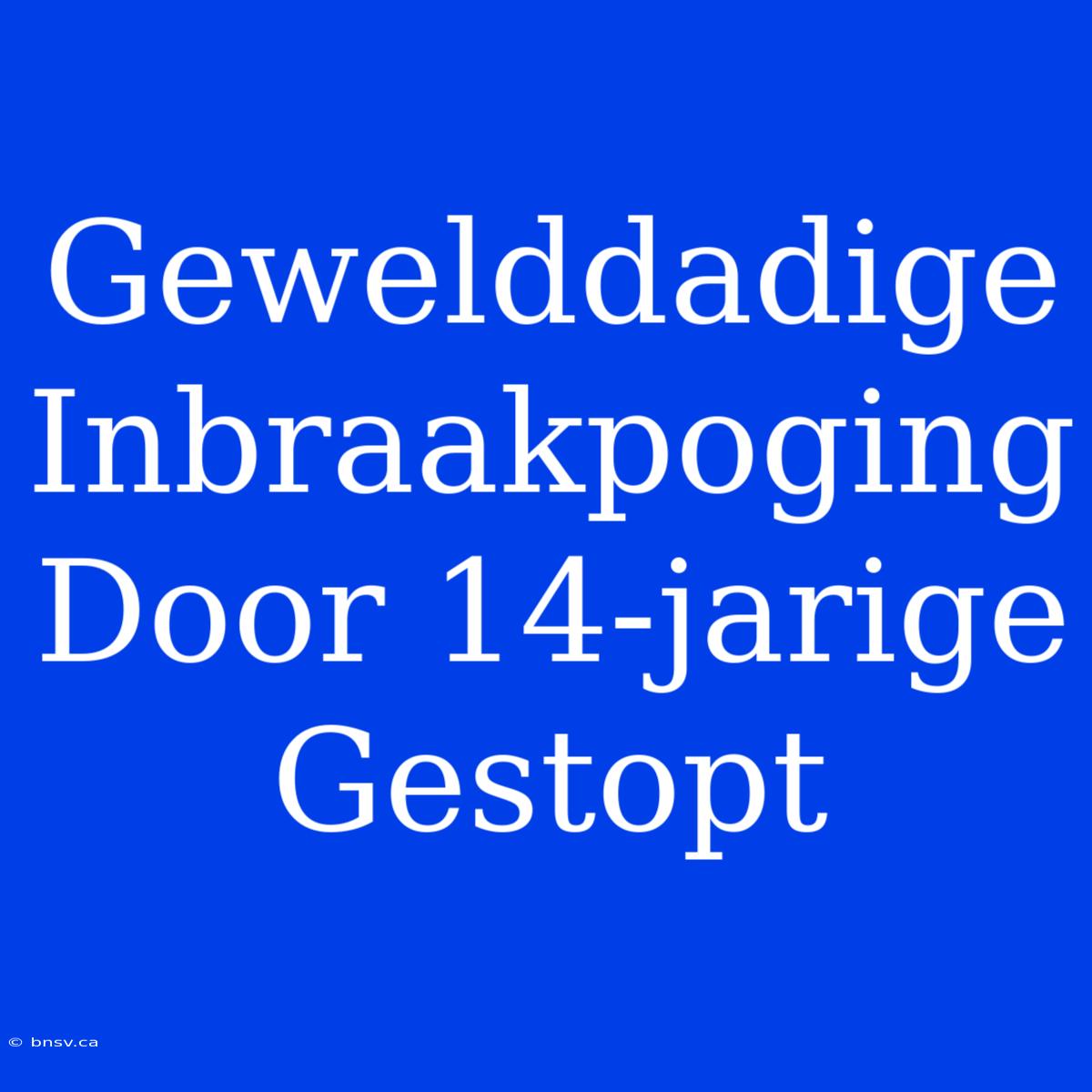 Gewelddadige Inbraakpoging Door 14-jarige Gestopt