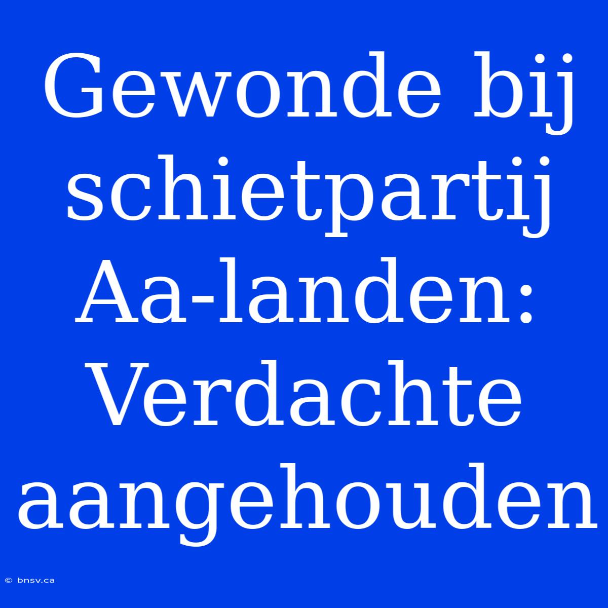 Gewonde Bij Schietpartij Aa-landen: Verdachte Aangehouden