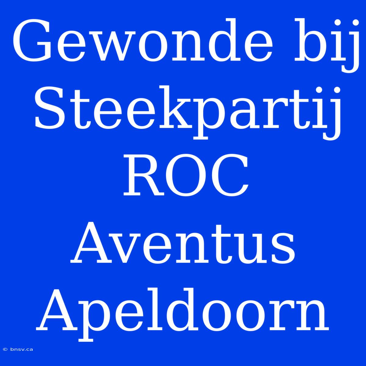 Gewonde Bij Steekpartij ROC Aventus Apeldoorn