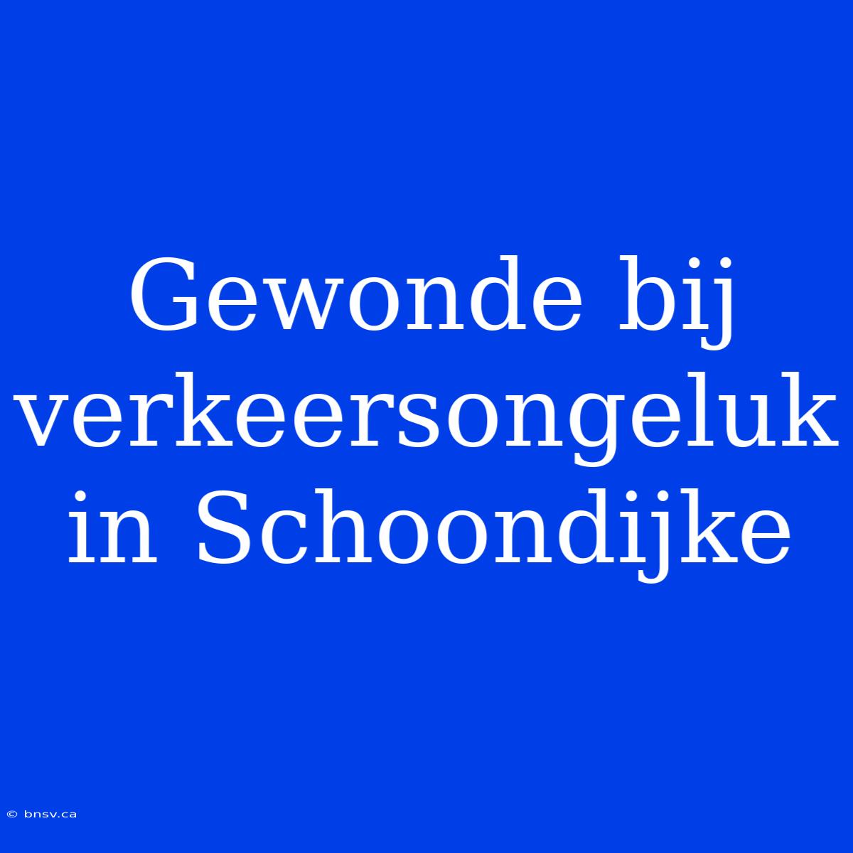 Gewonde Bij Verkeersongeluk In Schoondijke