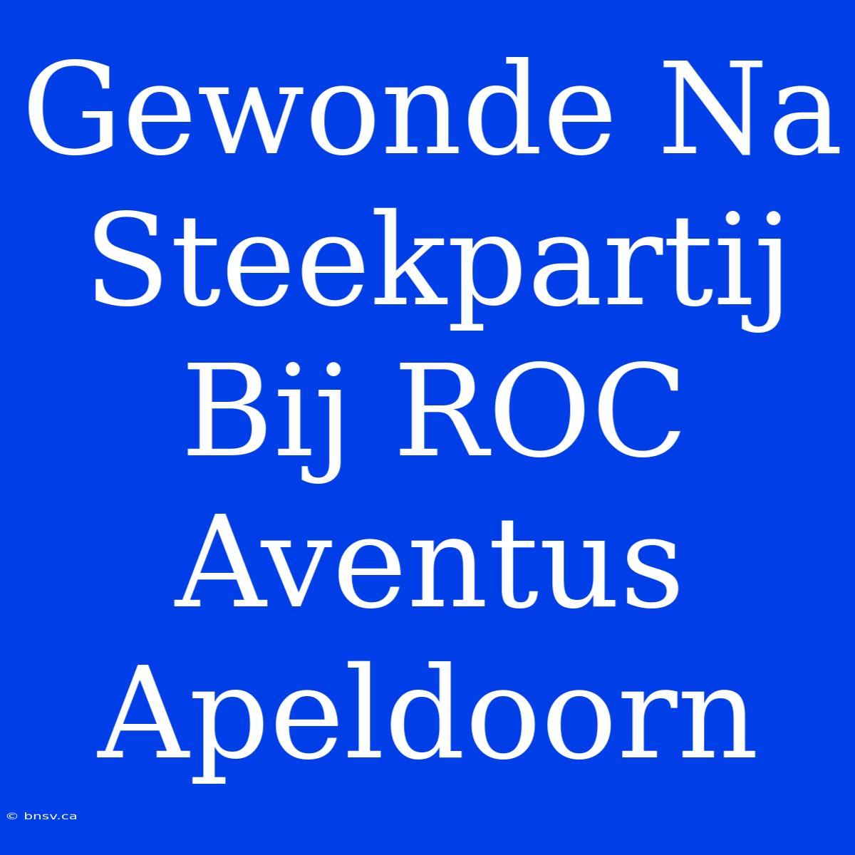 Gewonde Na Steekpartij Bij ROC Aventus Apeldoorn