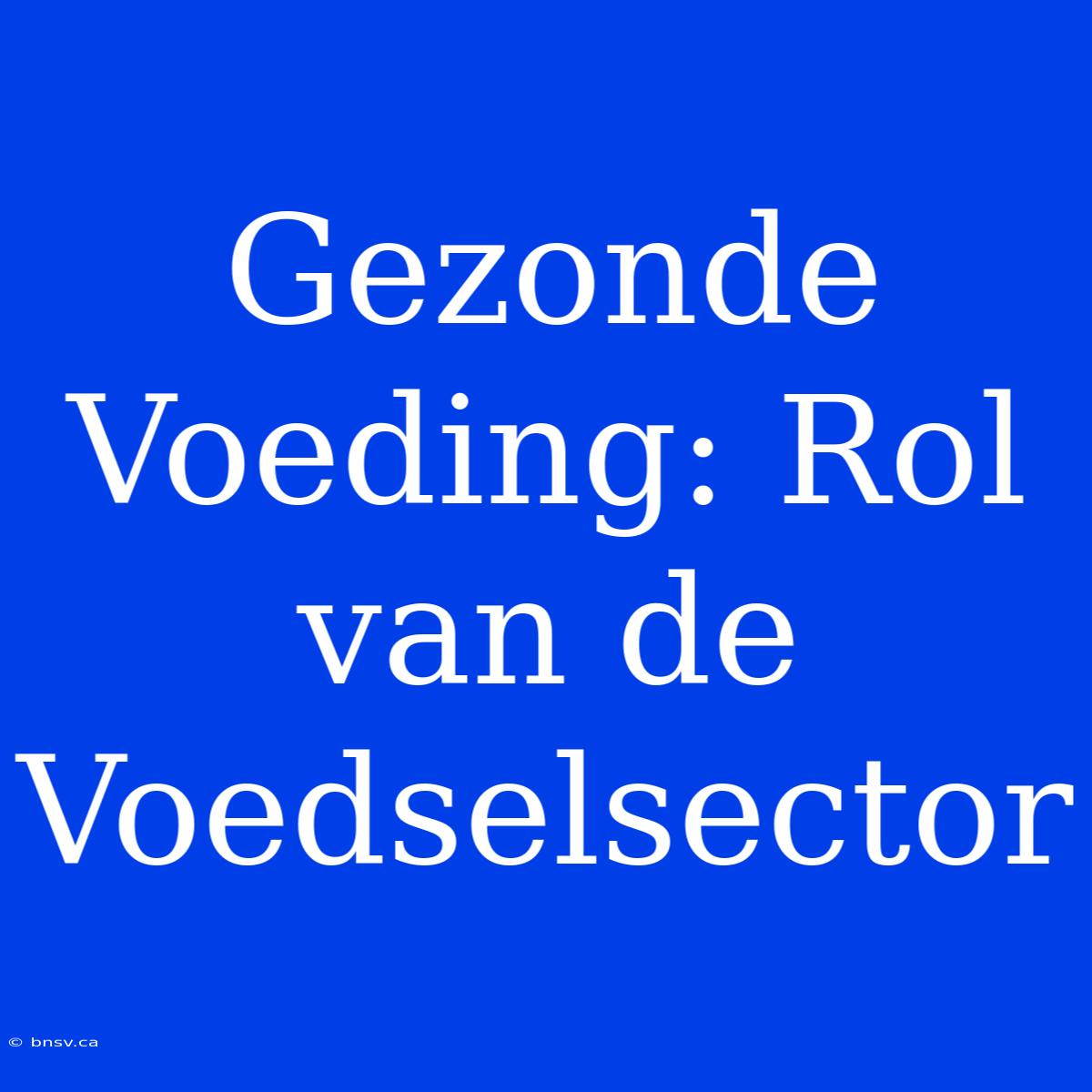 Gezonde Voeding: Rol Van De Voedselsector