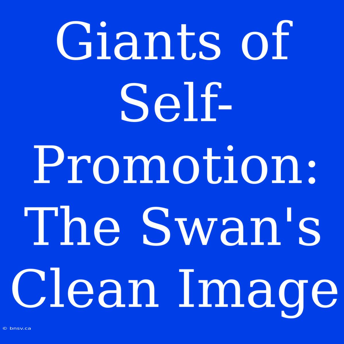 Giants Of Self-Promotion: The Swan's Clean Image