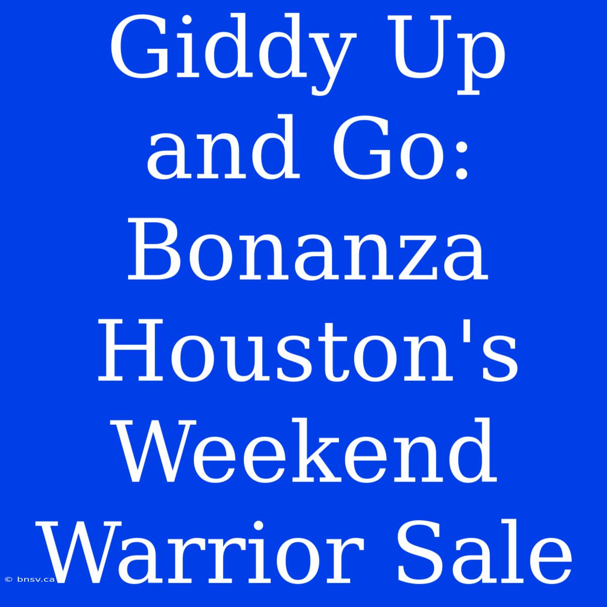 Giddy Up And Go: Bonanza Houston's Weekend Warrior Sale