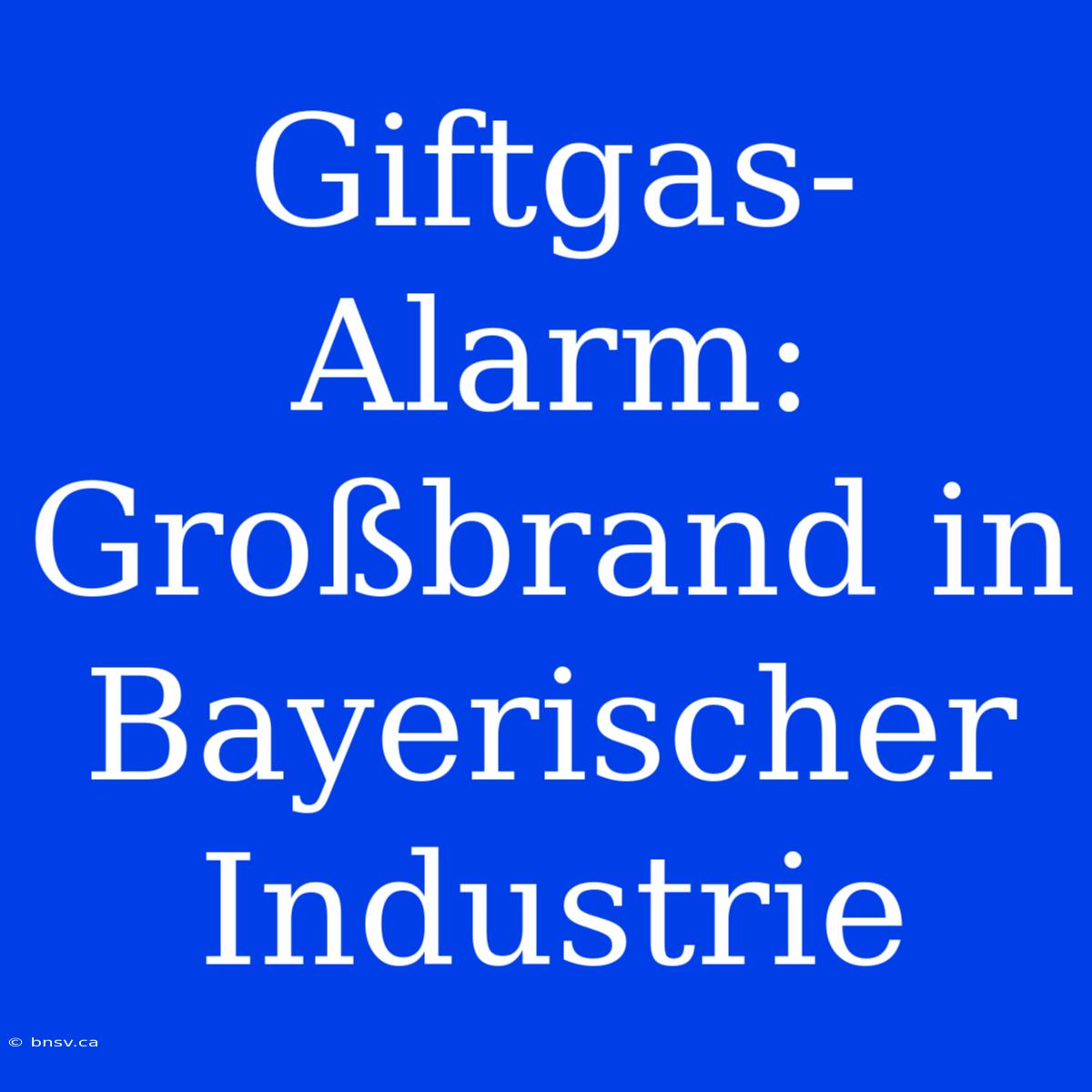 Giftgas-Alarm: Großbrand In Bayerischer Industrie