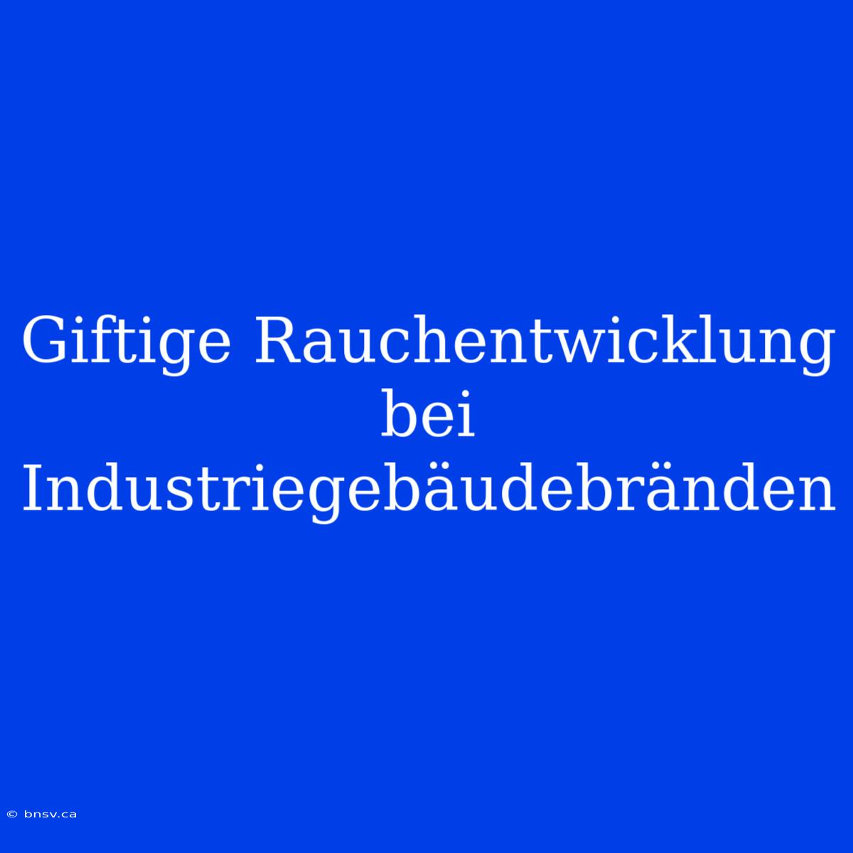 Giftige Rauchentwicklung Bei Industriegebäudebränden