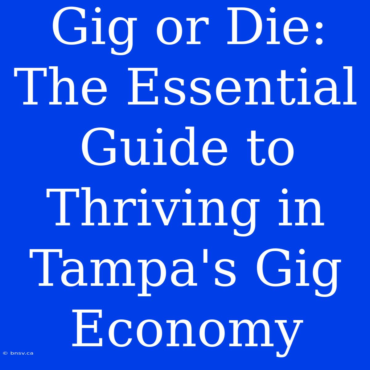 Gig Or Die: The Essential Guide To Thriving In Tampa's Gig Economy