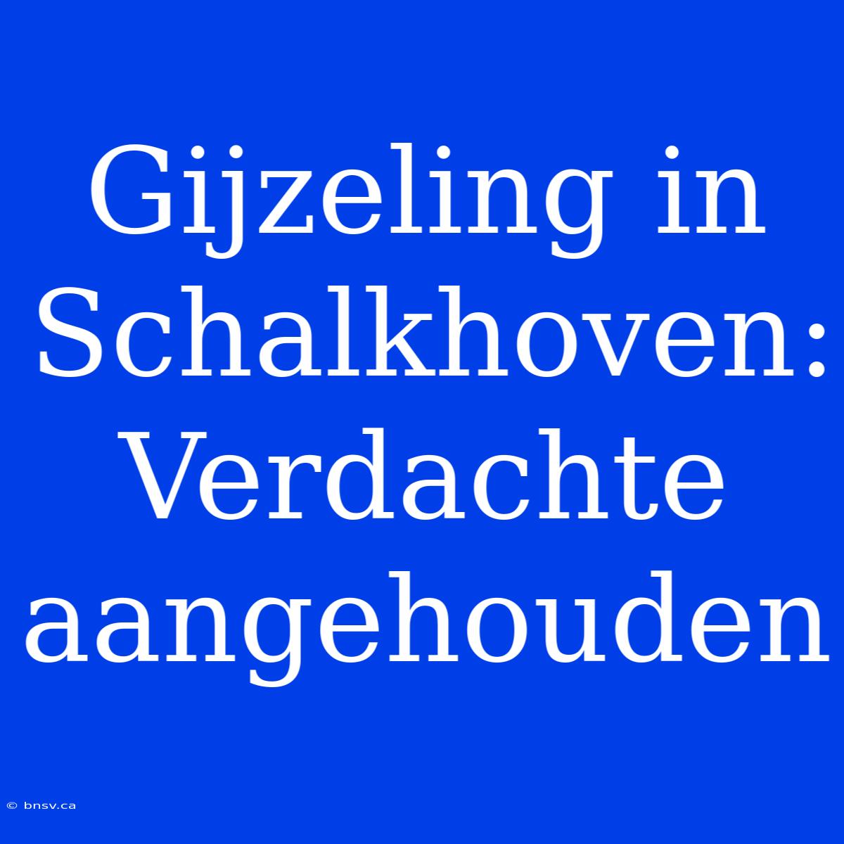 Gijzeling In Schalkhoven: Verdachte Aangehouden