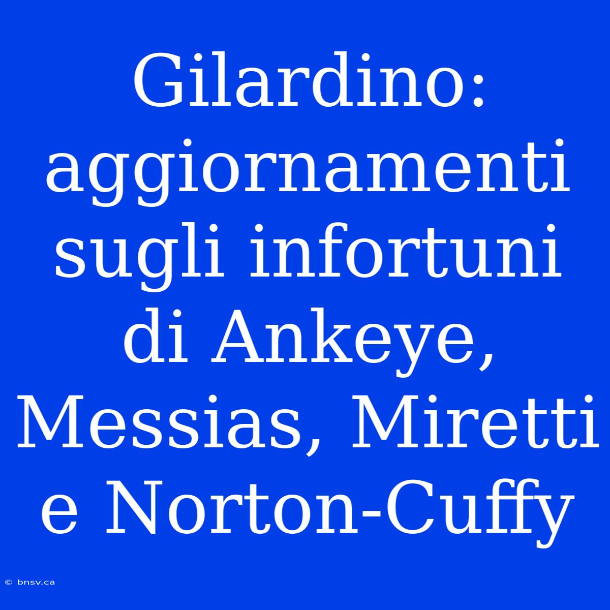 Gilardino: Aggiornamenti Sugli Infortuni Di Ankeye, Messias, Miretti E Norton-Cuffy