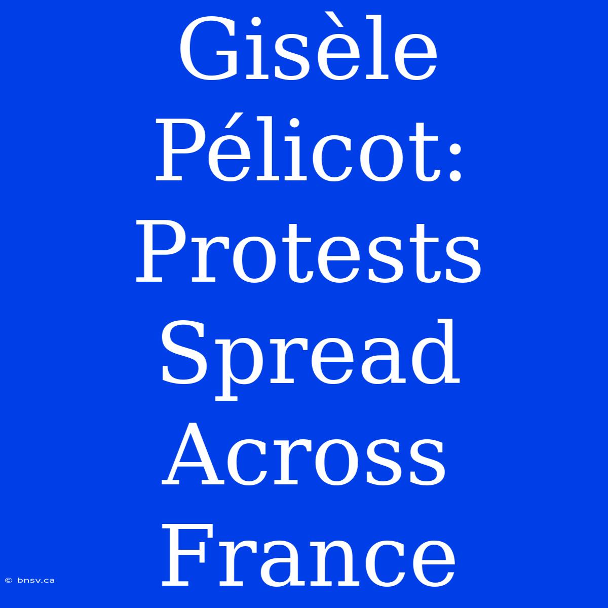 Gisèle Pélicot: Protests Spread Across France