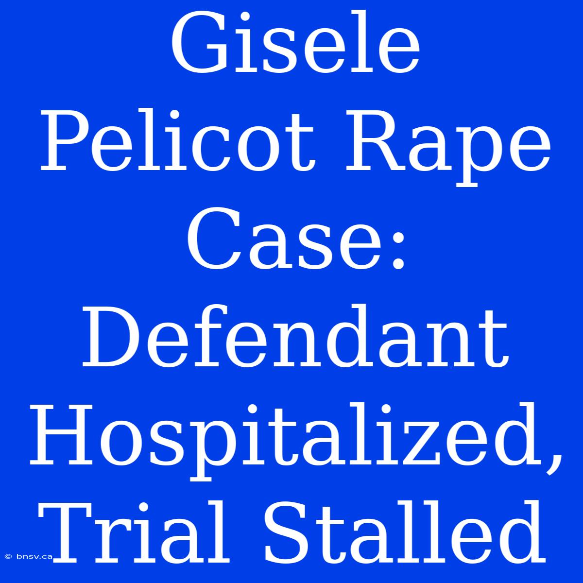 Gisele Pelicot Rape Case: Defendant Hospitalized, Trial Stalled