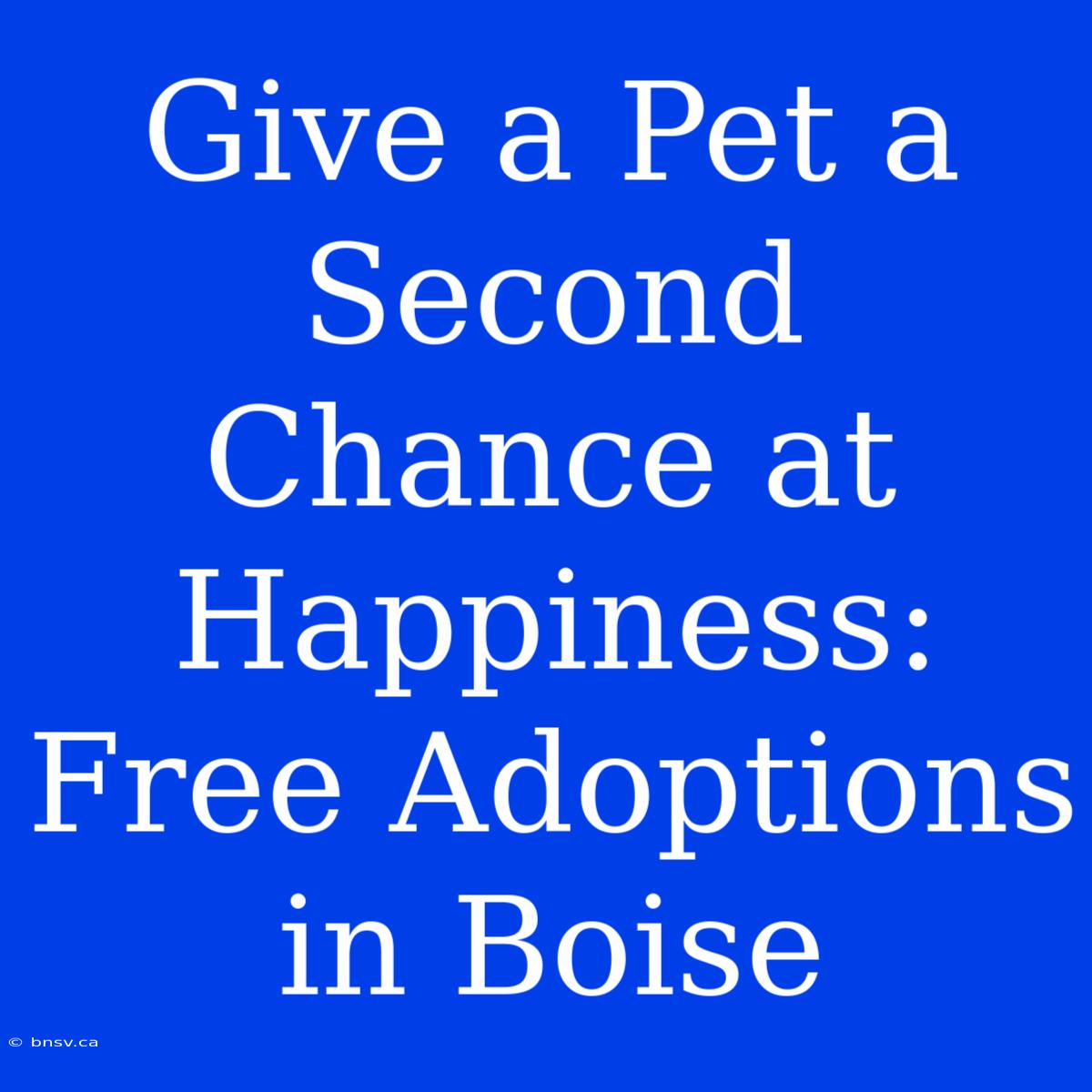 Give A Pet A Second Chance At Happiness: Free Adoptions In Boise