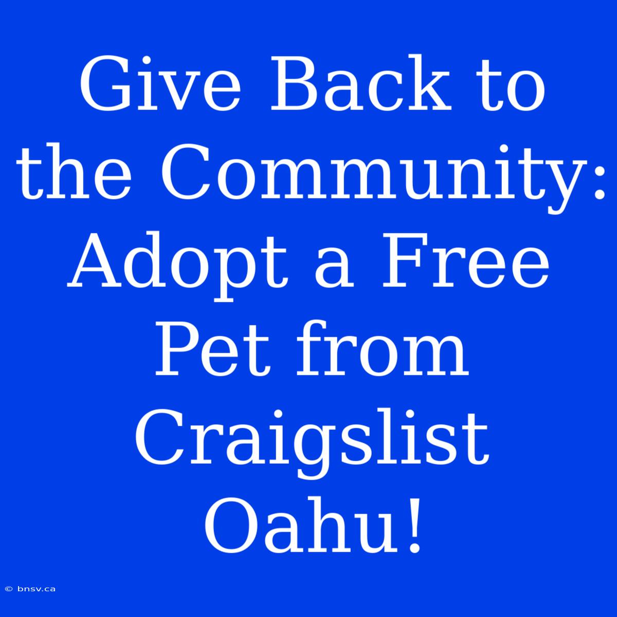 Give Back To The Community: Adopt A Free Pet From Craigslist Oahu!