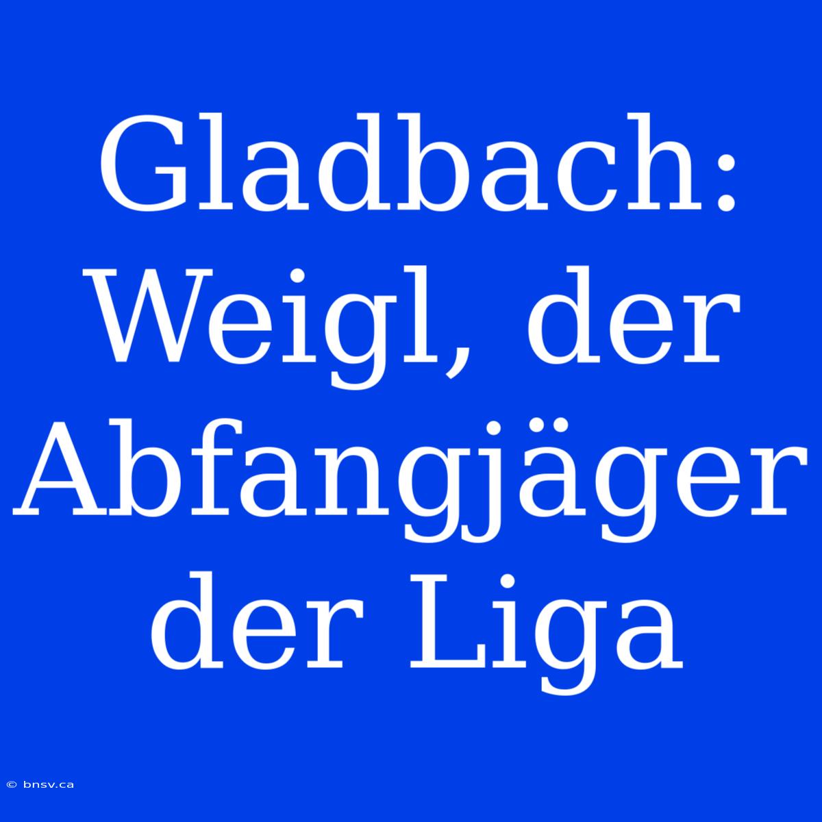 Gladbach: Weigl, Der Abfangjäger Der Liga