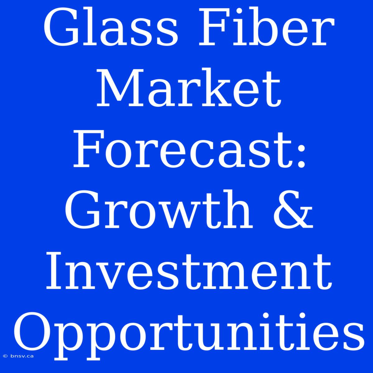 Glass Fiber Market Forecast:  Growth & Investment Opportunities