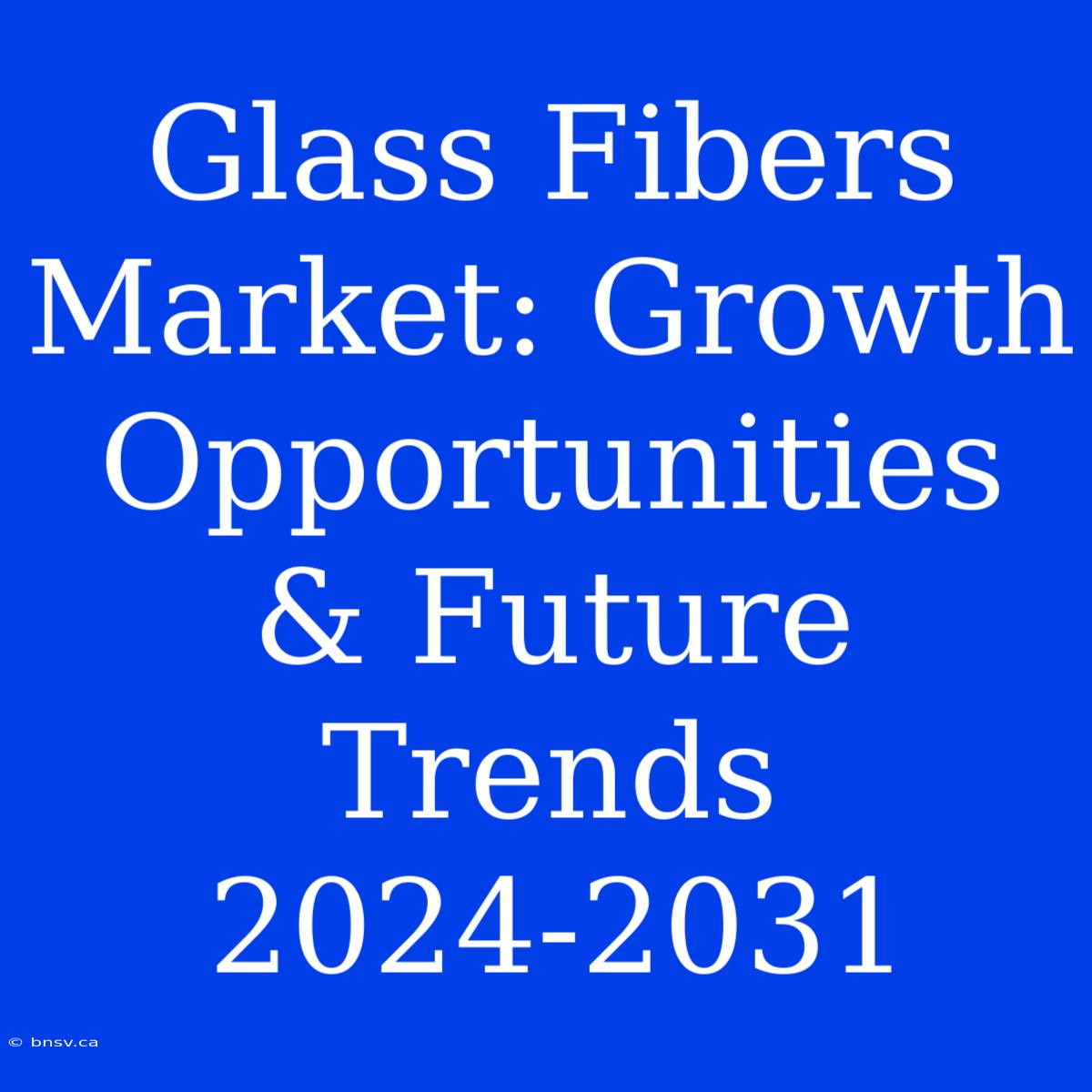 Glass Fibers Market: Growth Opportunities & Future Trends 2024-2031