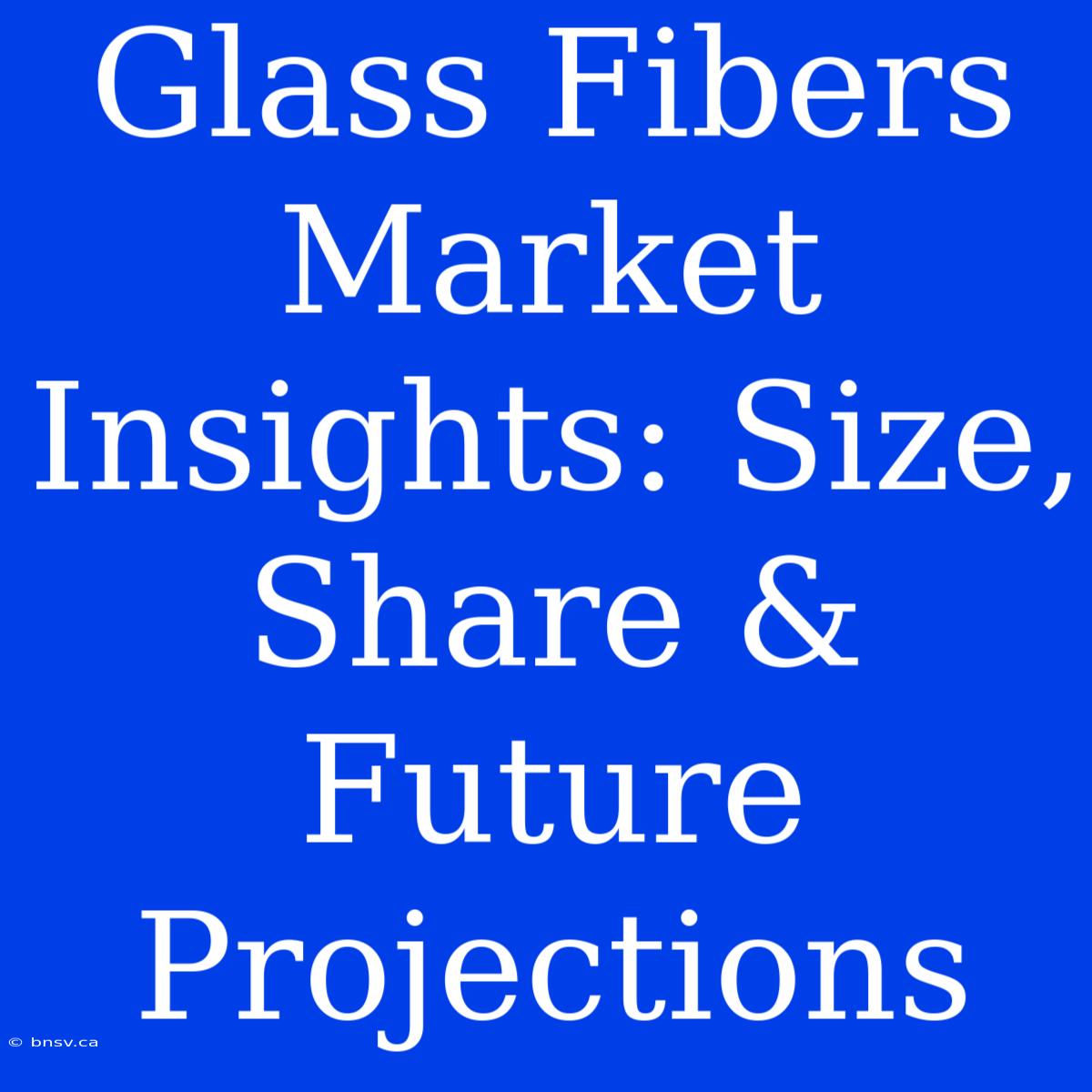 Glass Fibers Market Insights: Size, Share & Future Projections