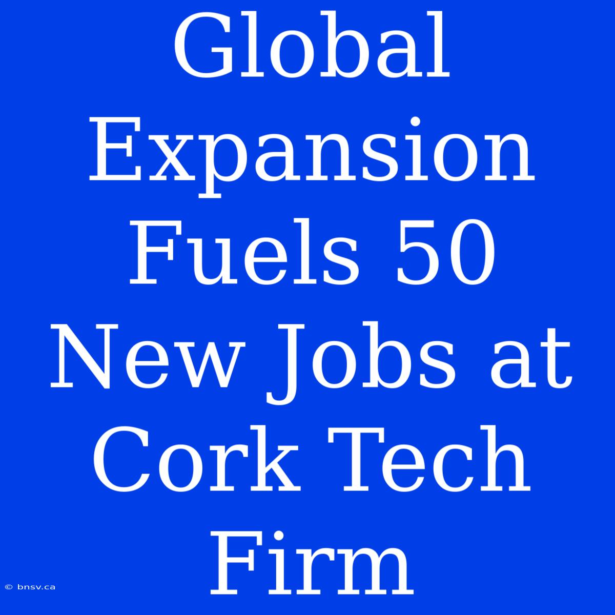 Global Expansion Fuels 50 New Jobs At Cork Tech Firm