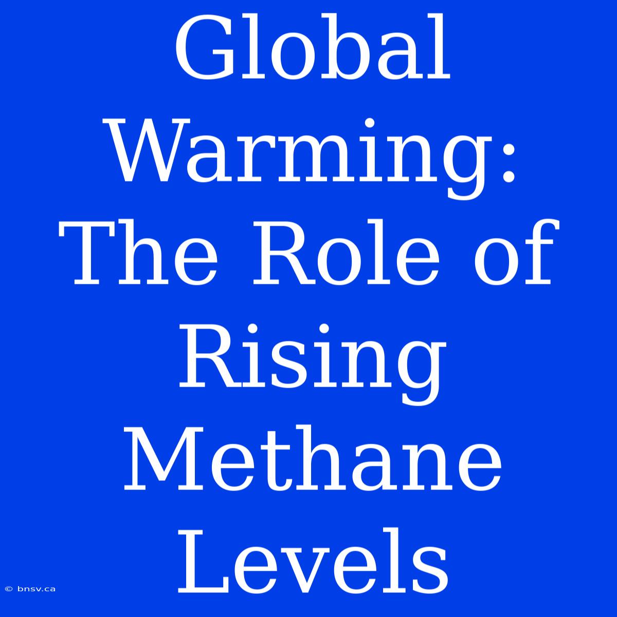 Global Warming: The Role Of Rising Methane Levels