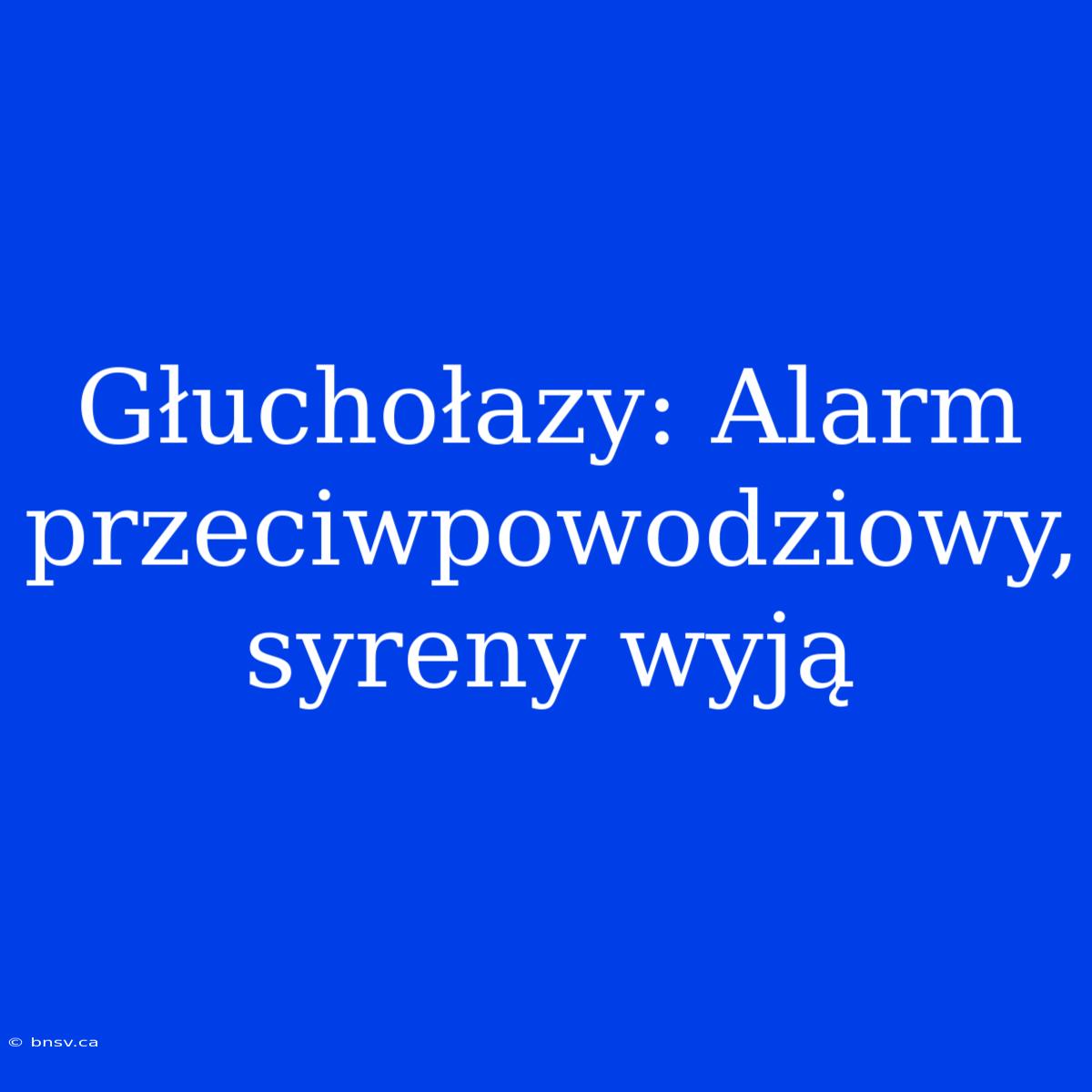 Głuchołazy: Alarm Przeciwpowodziowy, Syreny Wyją