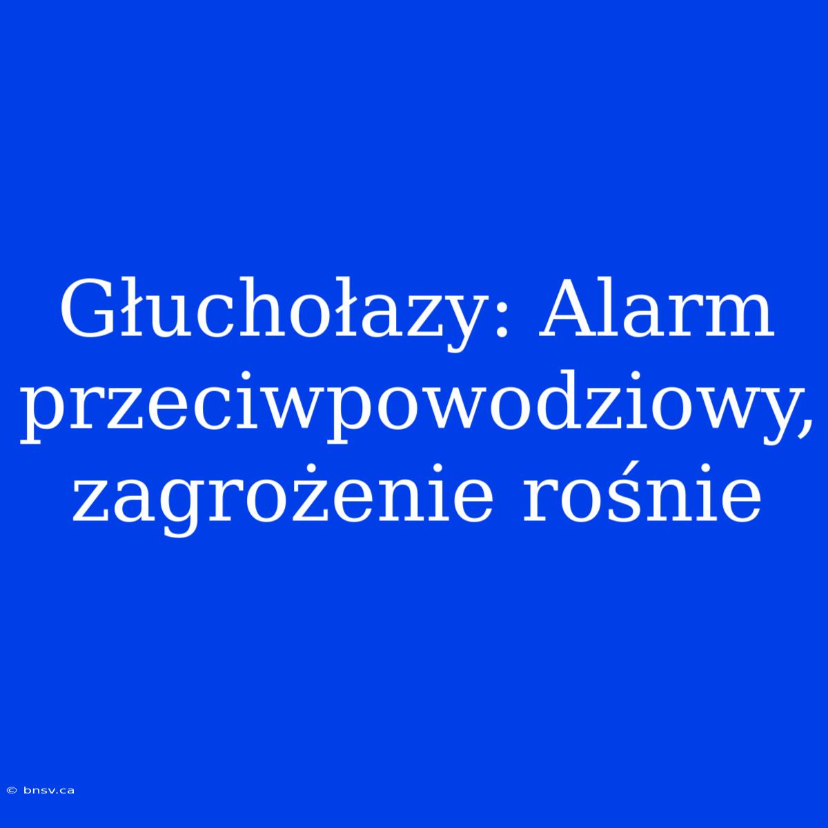 Głuchołazy: Alarm Przeciwpowodziowy, Zagrożenie Rośnie