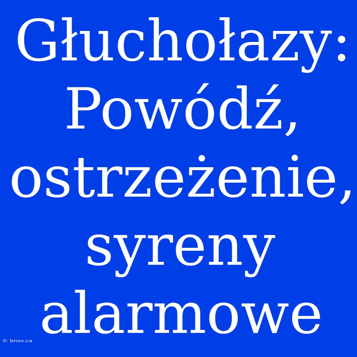 Głuchołazy: Powódź, Ostrzeżenie, Syreny Alarmowe